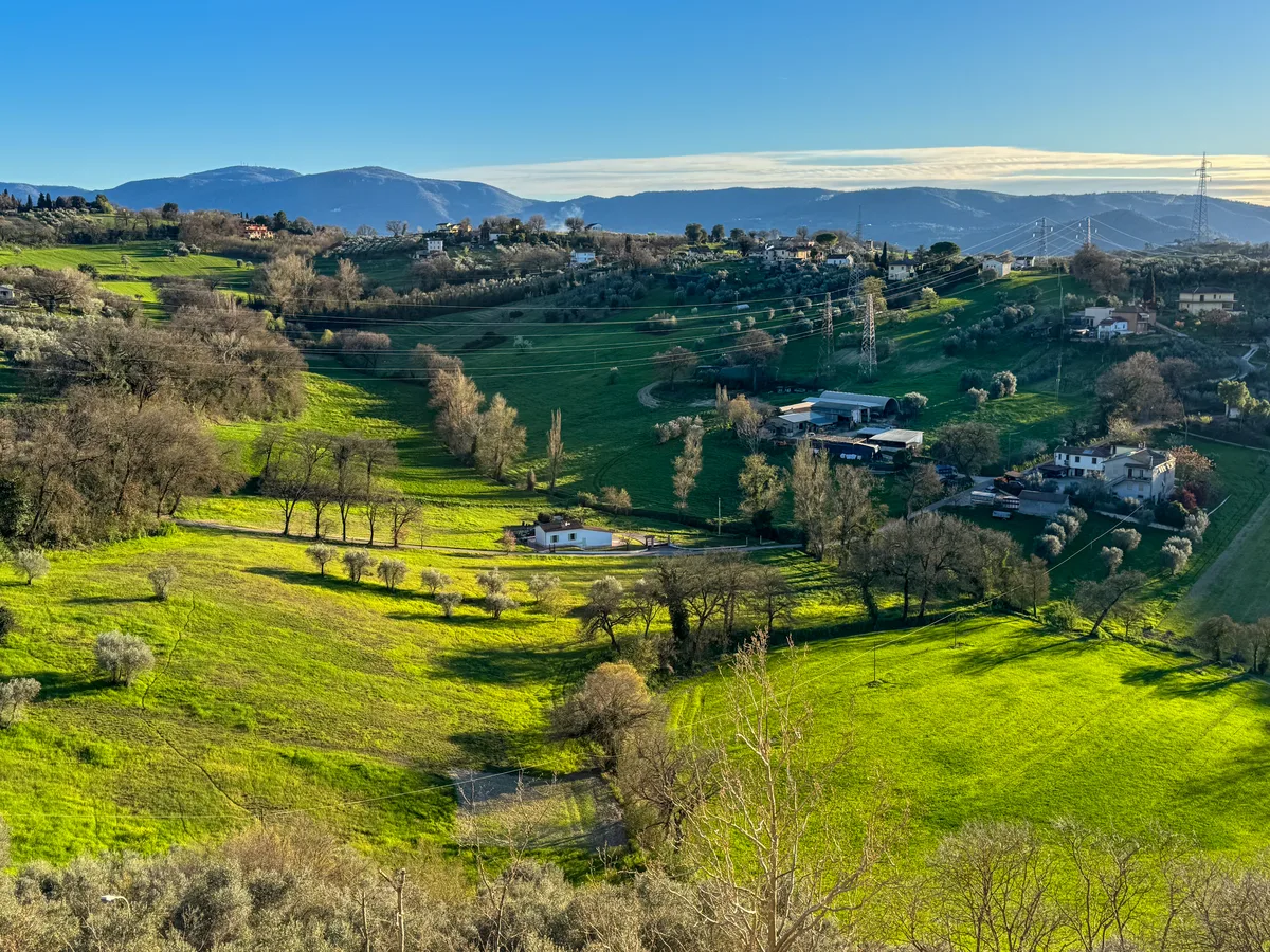 Spring view