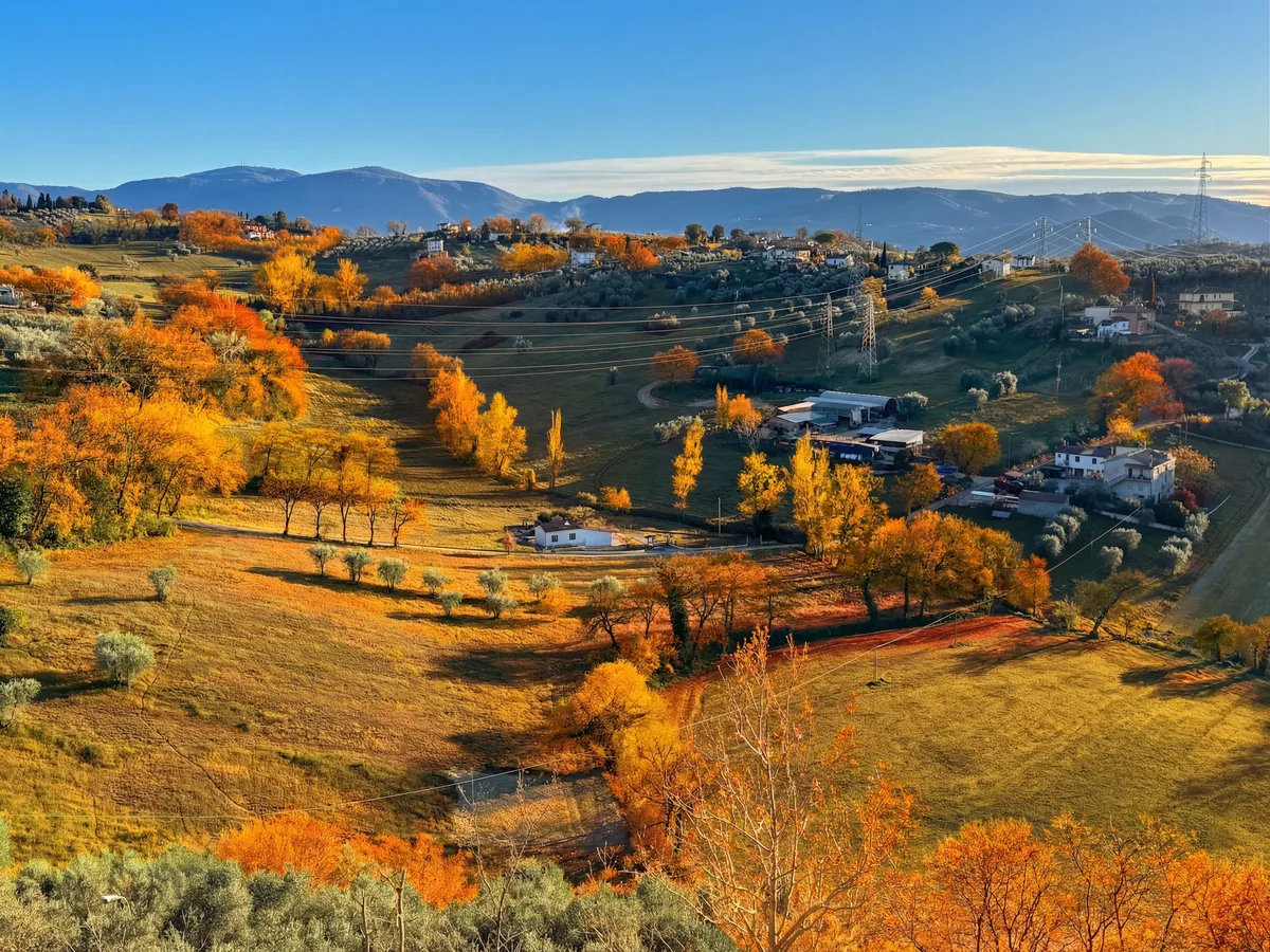 Fall view