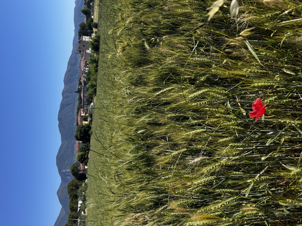 Posizione strategica di Collescipoli