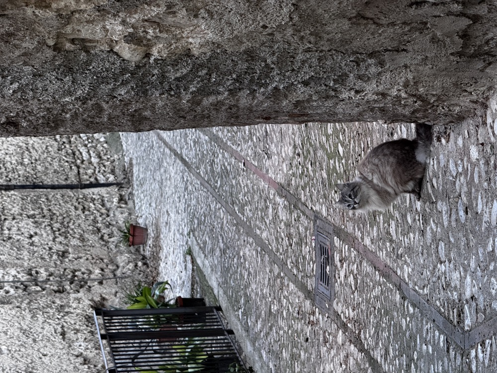 Centro storico di Collescipoli