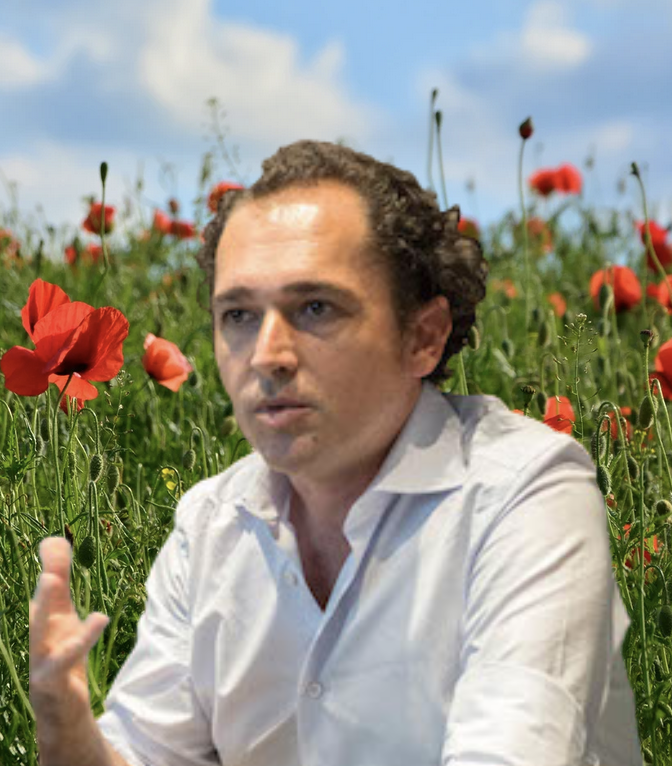 Francesco - Innovation and Finance Expert